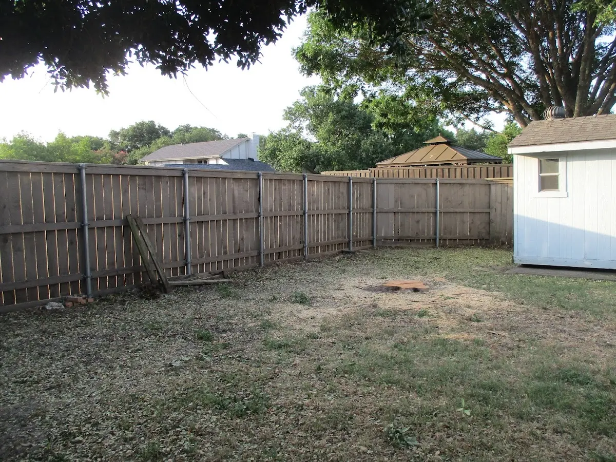 Cleared yard after professional tree removal in Woodbourne