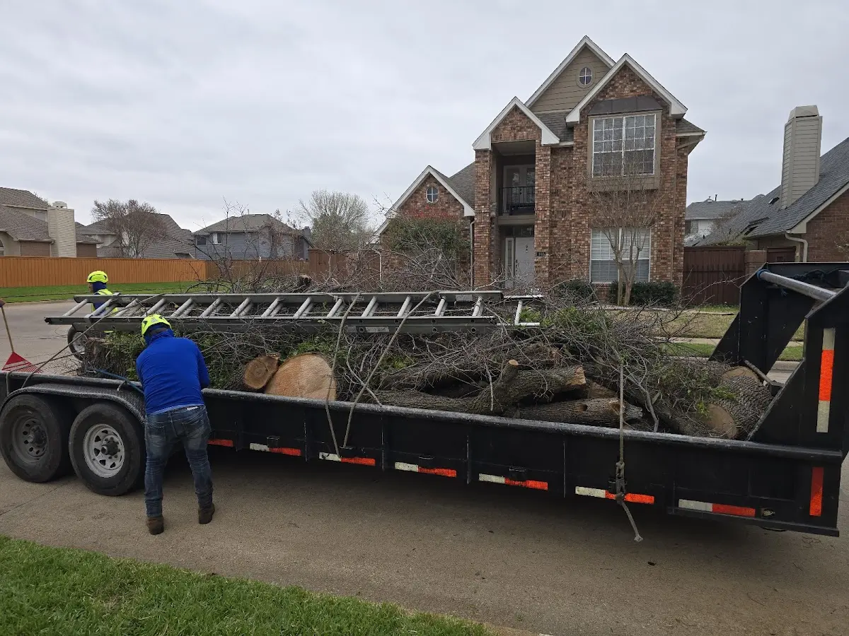 Expert Crown Reduction with proper safety equipment in Woodbourne